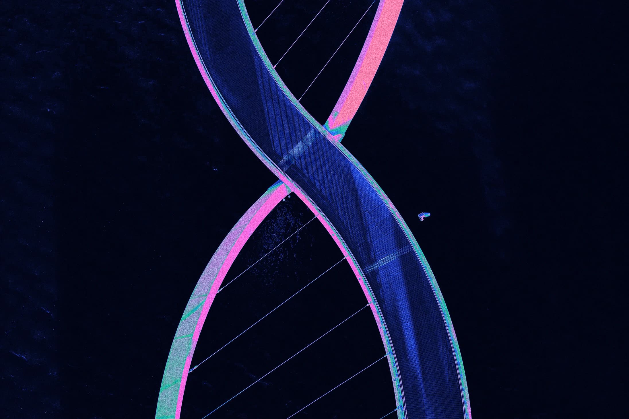 Differential Gene Expression Analysis: RNA-Seq with Pathway Enrichment