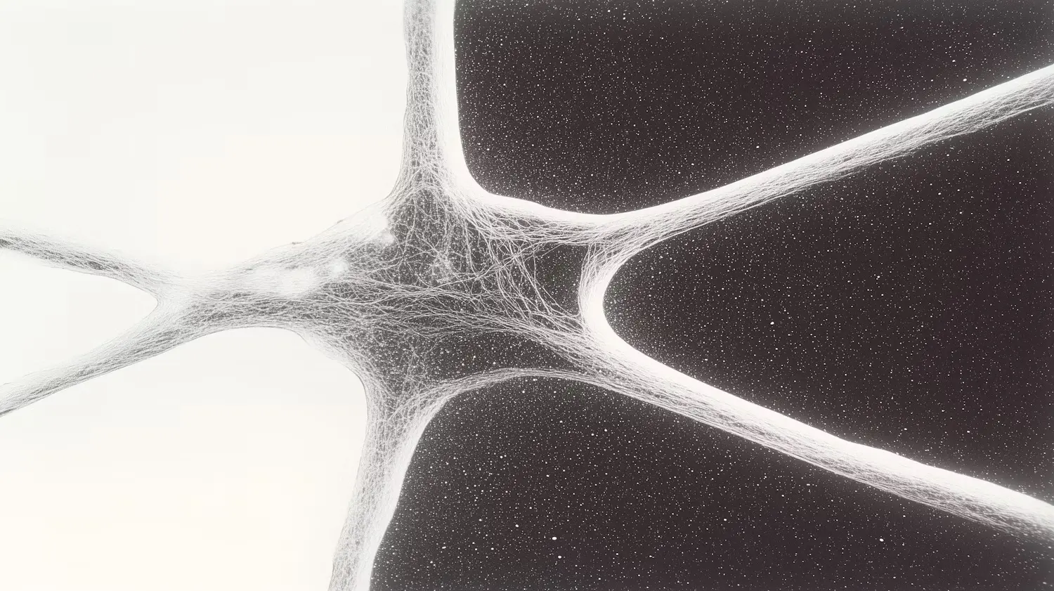 Different Bioinformatics Pipeline Frameworks in 2025